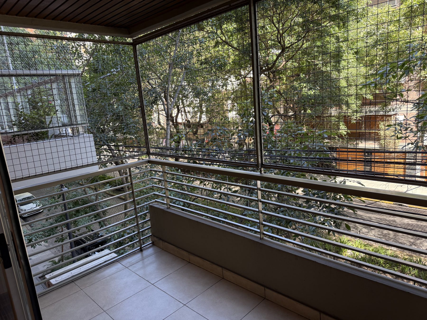 Tree canopy from balcony